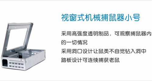 专业灭鼠公司 济宁灭鼠公司 烟台澳洁虫控